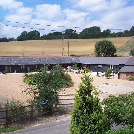 Five Cottages In Aonb And A Hobbit House! Canterbury Exteriör bild