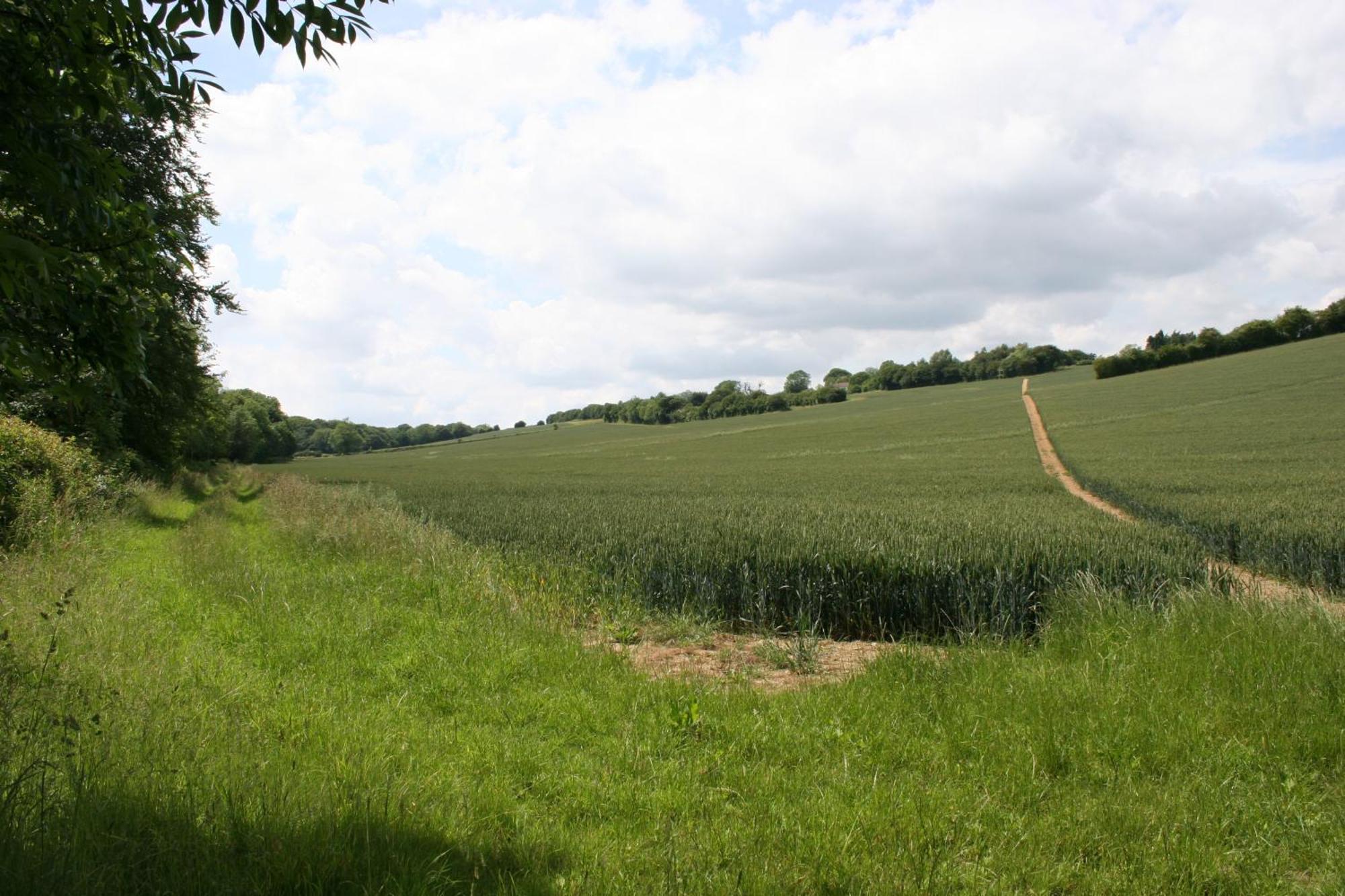 Five Cottages In Aonb And A Hobbit House! Canterbury Exteriör bild